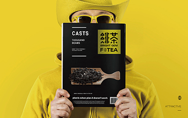 榆林绯茶品牌设计